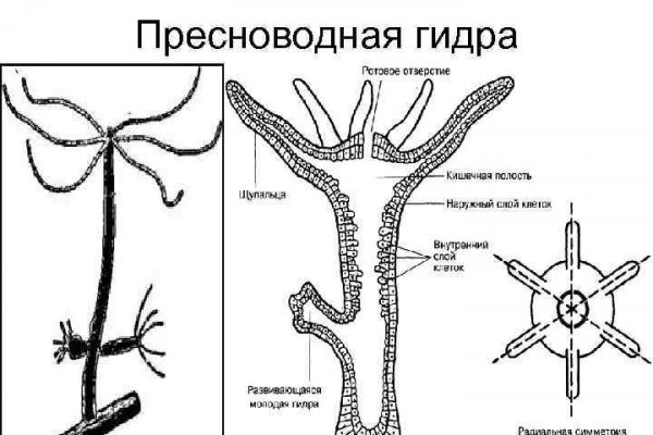 Ссылка на кракен тор kraken014 com