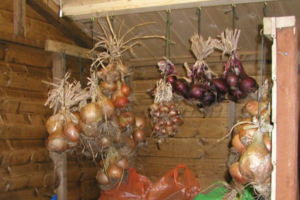 Kraken onion зеркало